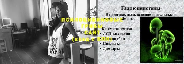 mdpv Бородино