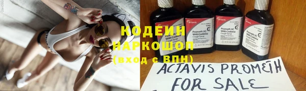 mdpv Бородино
