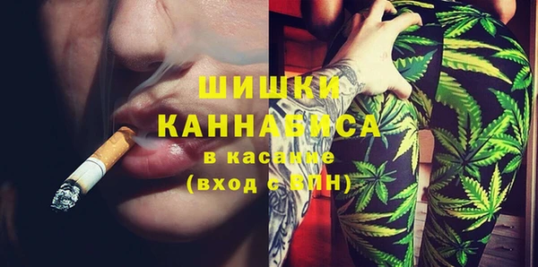 mdpv Бородино