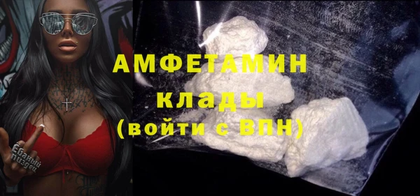 mdpv Бородино